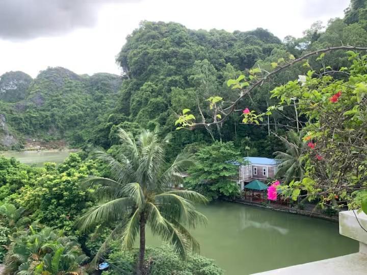 Catba Backpackers Hostel & Pool Bar Chan Chau Oda fotoğraf